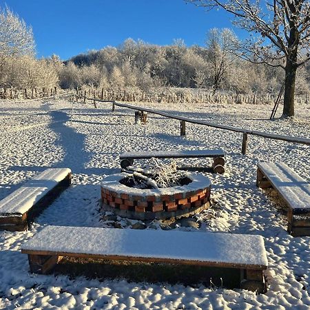 Casuta Din Stejari-Transalpina Villa Novaci-Străini Exteriör bild