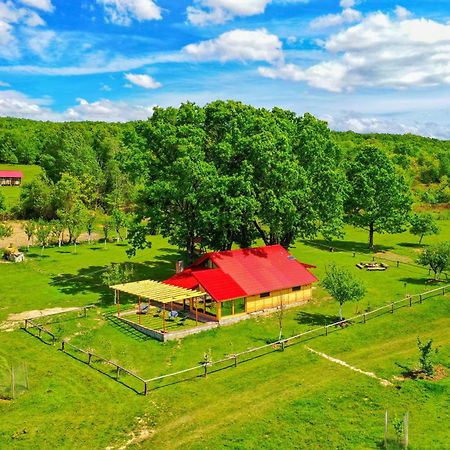 Casuta Din Stejari-Transalpina Villa Novaci-Străini Exteriör bild