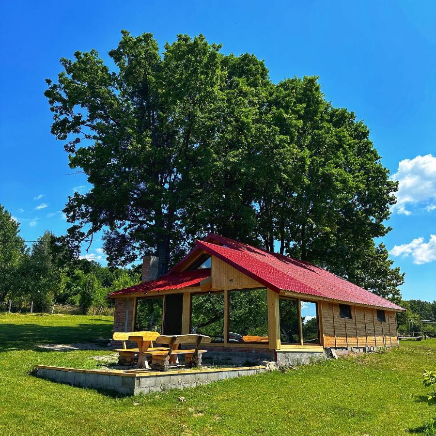 Casuta Din Stejari-Transalpina Villa Novaci-Străini Exteriör bild