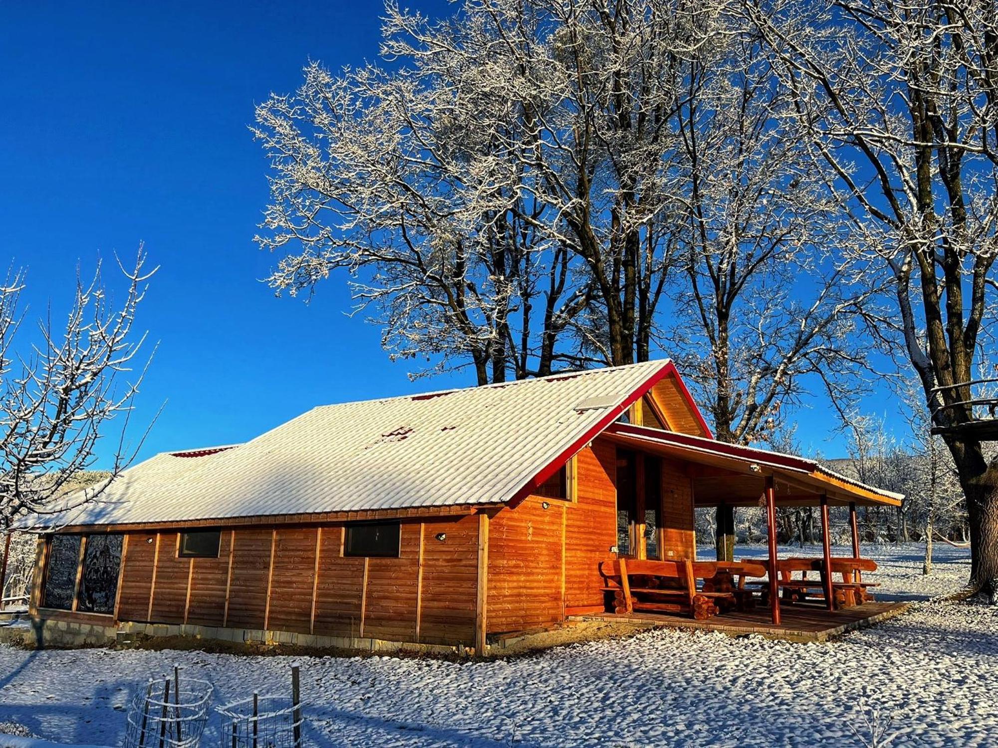 Casuta Din Stejari-Transalpina Villa Novaci-Străini Exteriör bild