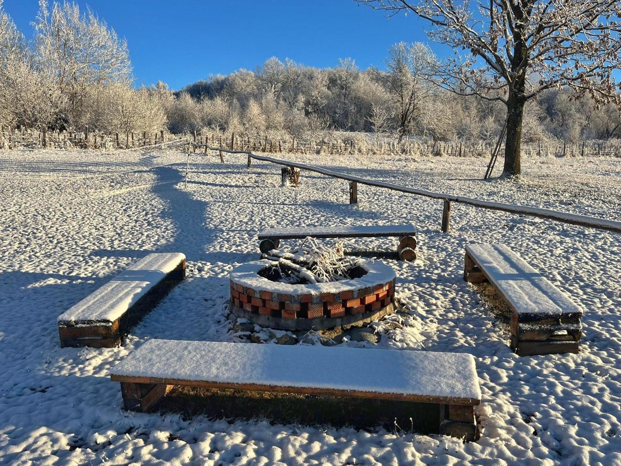 Casuta Din Stejari-Transalpina Villa Novaci-Străini Exteriör bild