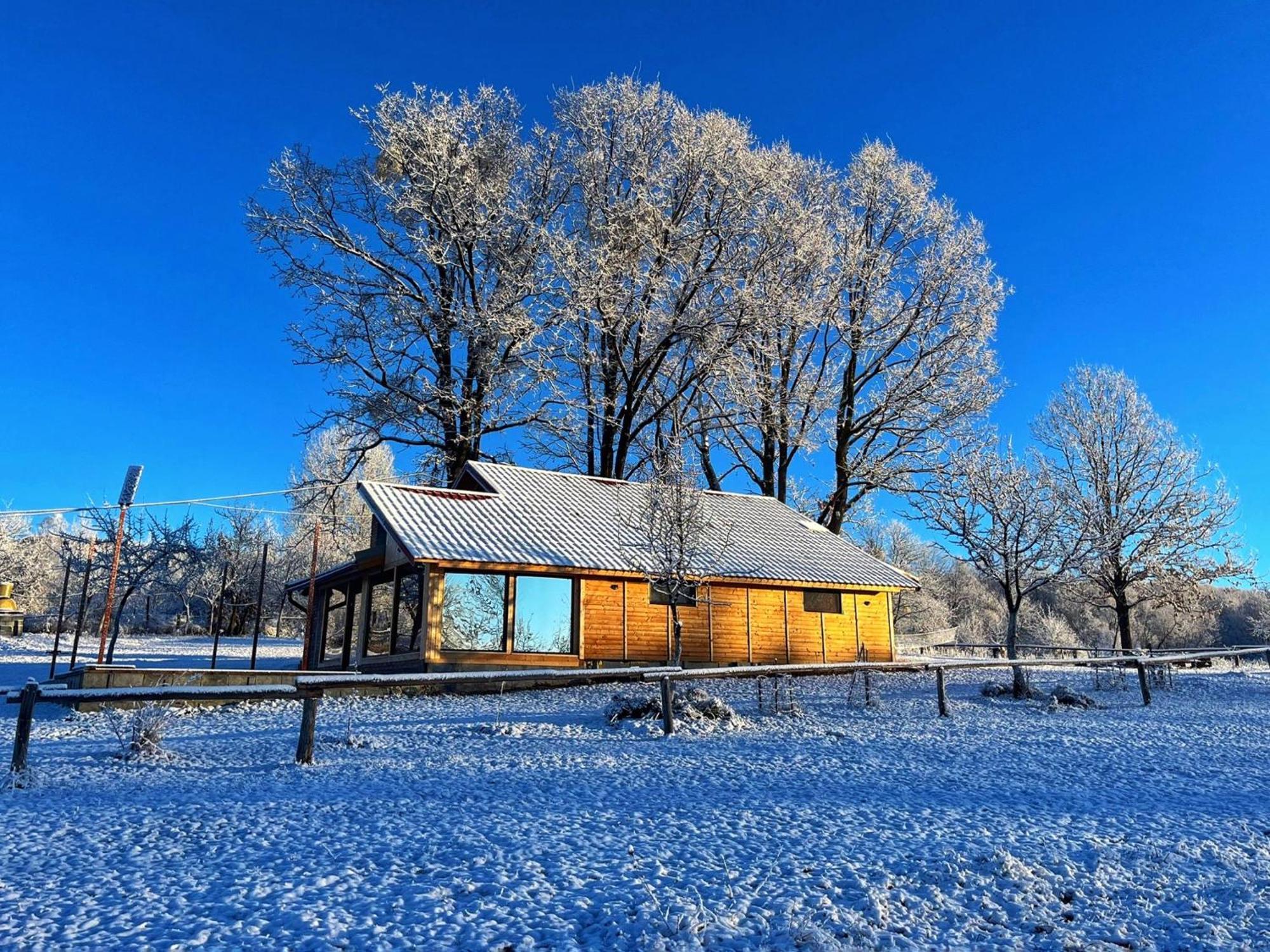 Casuta Din Stejari-Transalpina Villa Novaci-Străini Exteriör bild