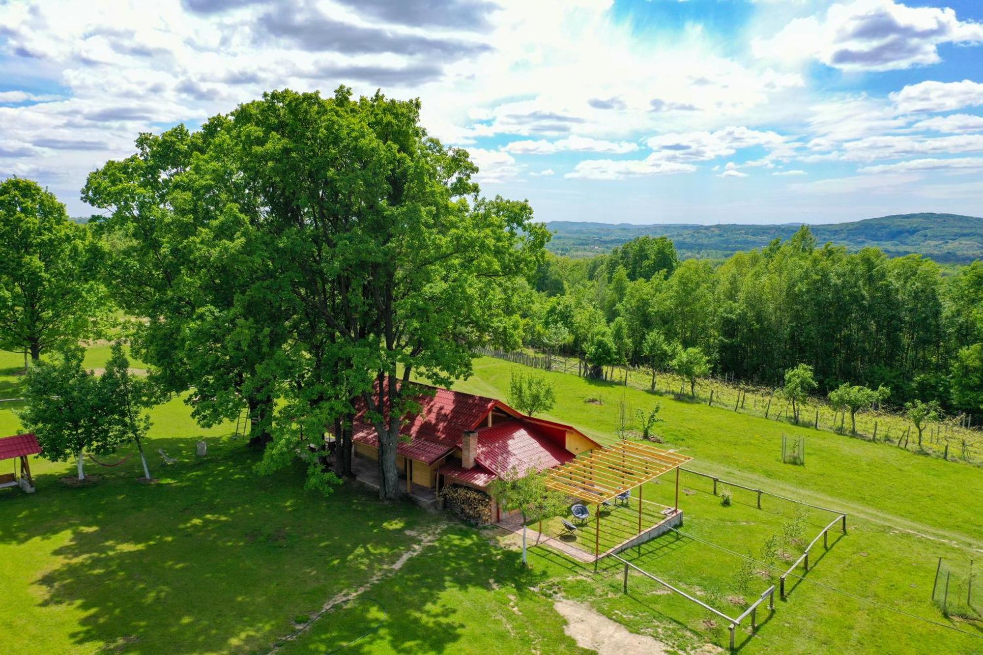 Casuta Din Stejari-Transalpina Villa Novaci-Străini Exteriör bild