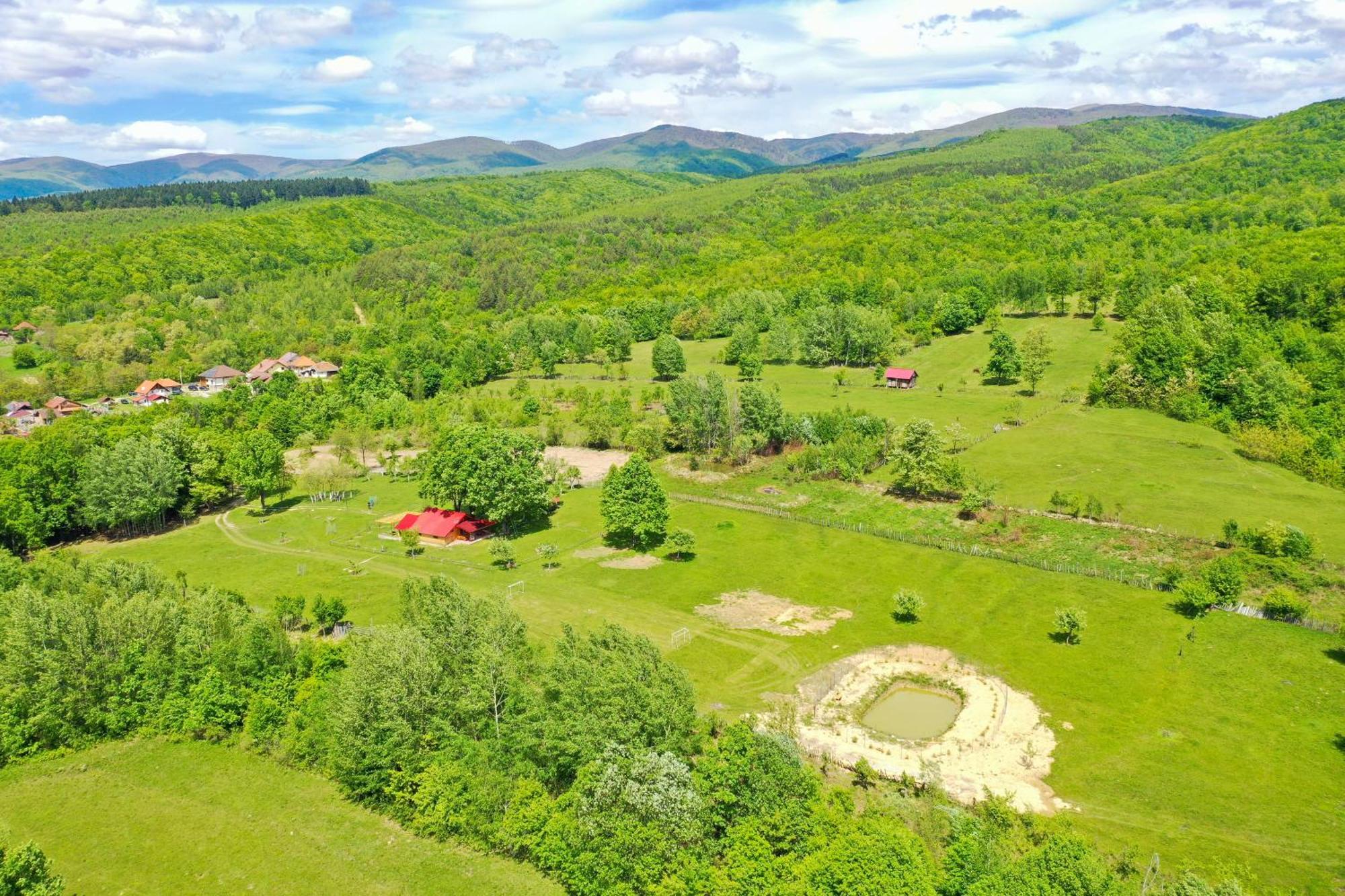 Casuta Din Stejari-Transalpina Villa Novaci-Străini Exteriör bild