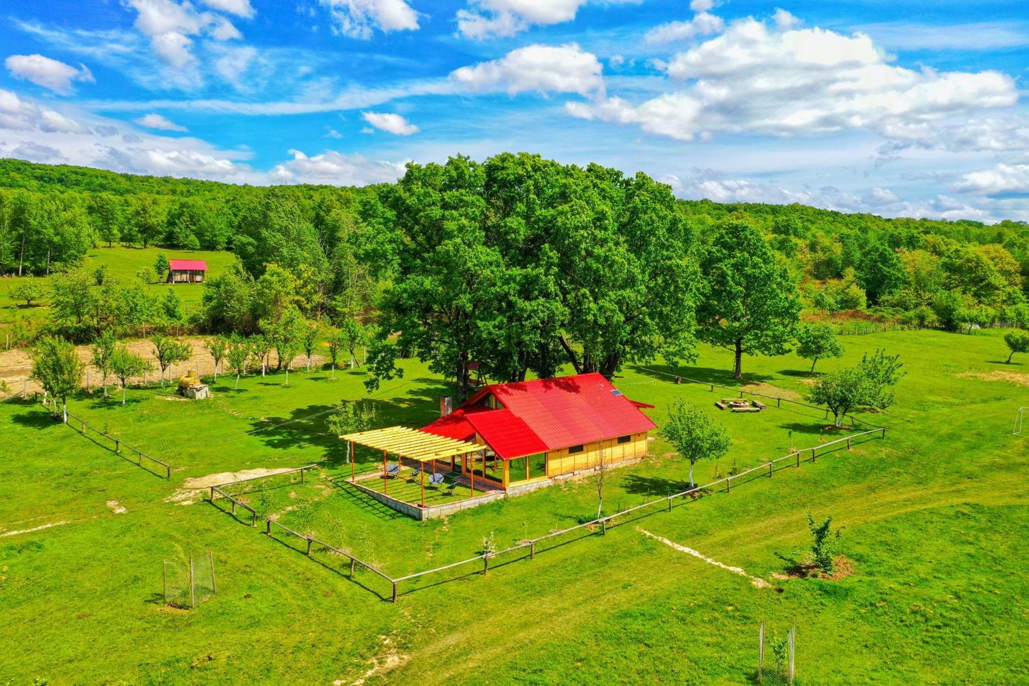 Casuta Din Stejari-Transalpina Villa Novaci-Străini Exteriör bild